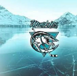 Meet your Posher, Gavin